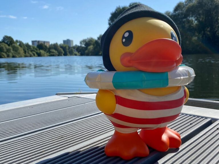 Der Countdown läuft: Am 31. August gehen die Enten in die Ruhr!