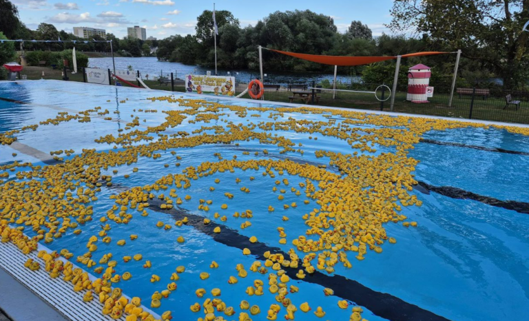 Entenrennen 2026: Ein Tag voller Spaß im Steeler Freibad